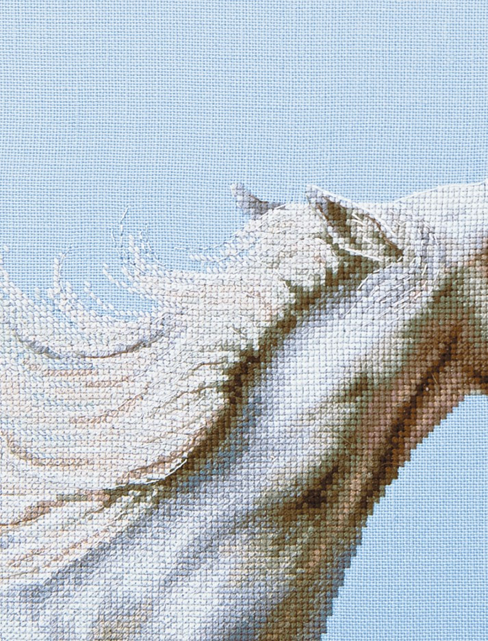 ������� ����� � ������� �������: ������������� ����� �� ������ �������� ������