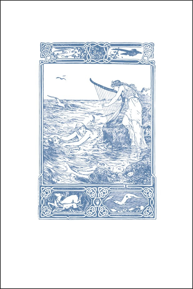 ������� � �������� �������