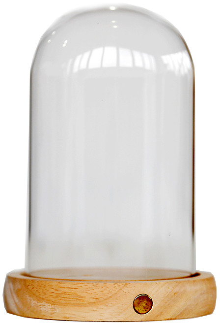 ����������� ������: ������ ���. ���������� �����