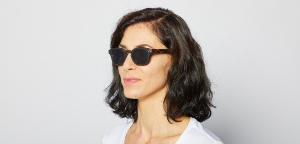 ���� Izipizi ������ #C ����������� ��������������