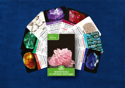 ���������� ���� �������� � ������ ������