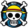    One Piece: Skull