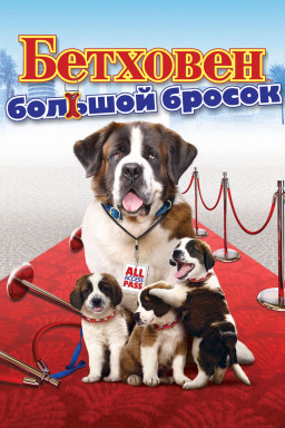 :   (DVD)