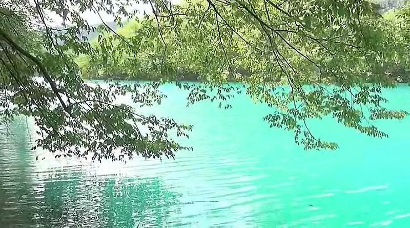  3D.     (Blu-ray 3D + 2D)