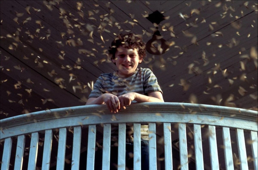 ������ � ��������� (DVD)