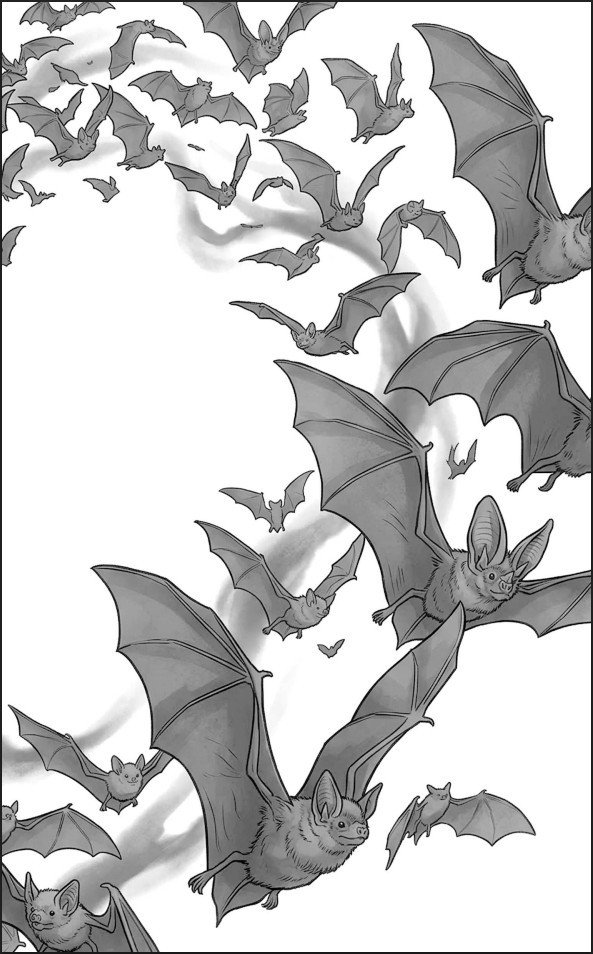 �������� ������� �����