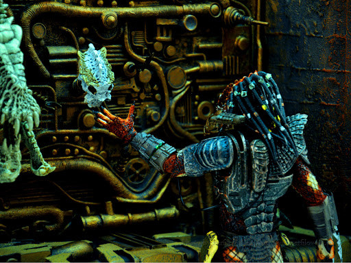 ������� Predators 11 Trophy Wall (28 ��)