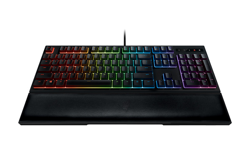  Razer Ornata Chroma   PC