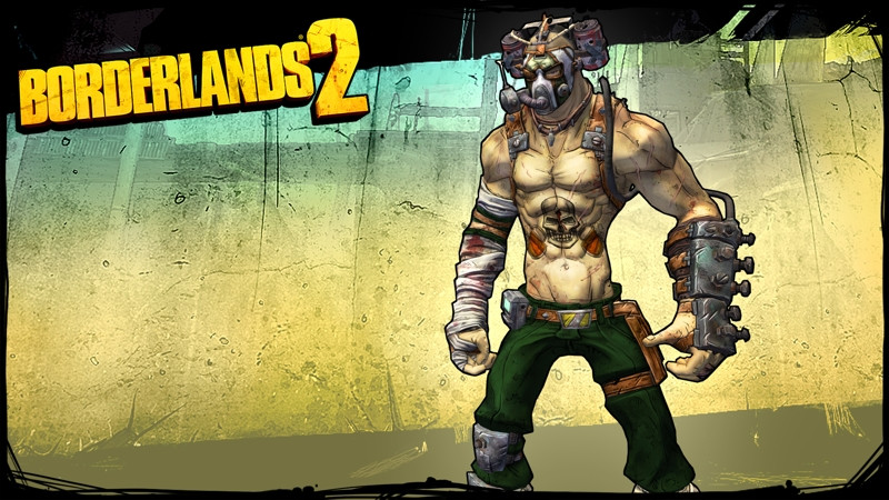 Borderlands 2.    [PC,  ]