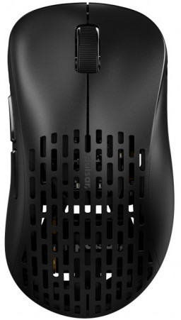  Pulsar Xlite Wireless V2   / USB Competition Black  