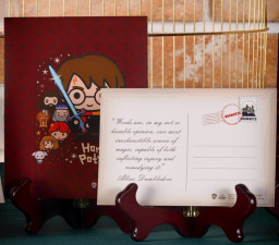 ����� �������� Harry Potter: Funko