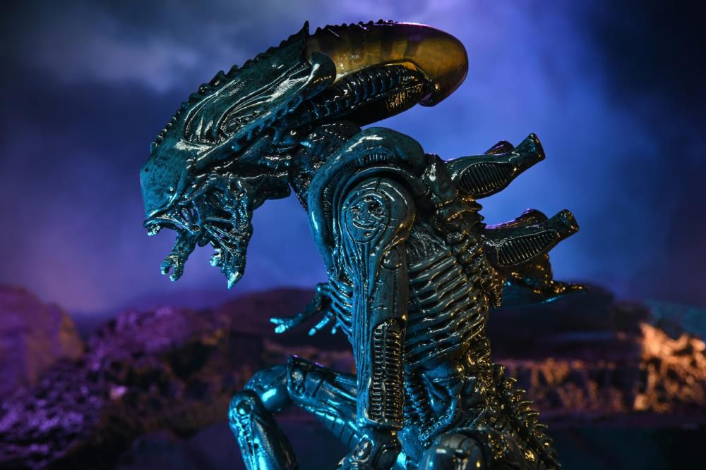  NECA Scale Action Figure: Alien Vs Predator  Arachnoid Alien Movie Deco  (17 )