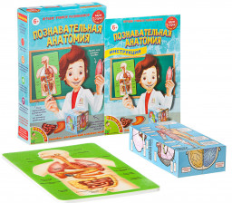 �������� �����: ����� � ���� � �������������� ��������