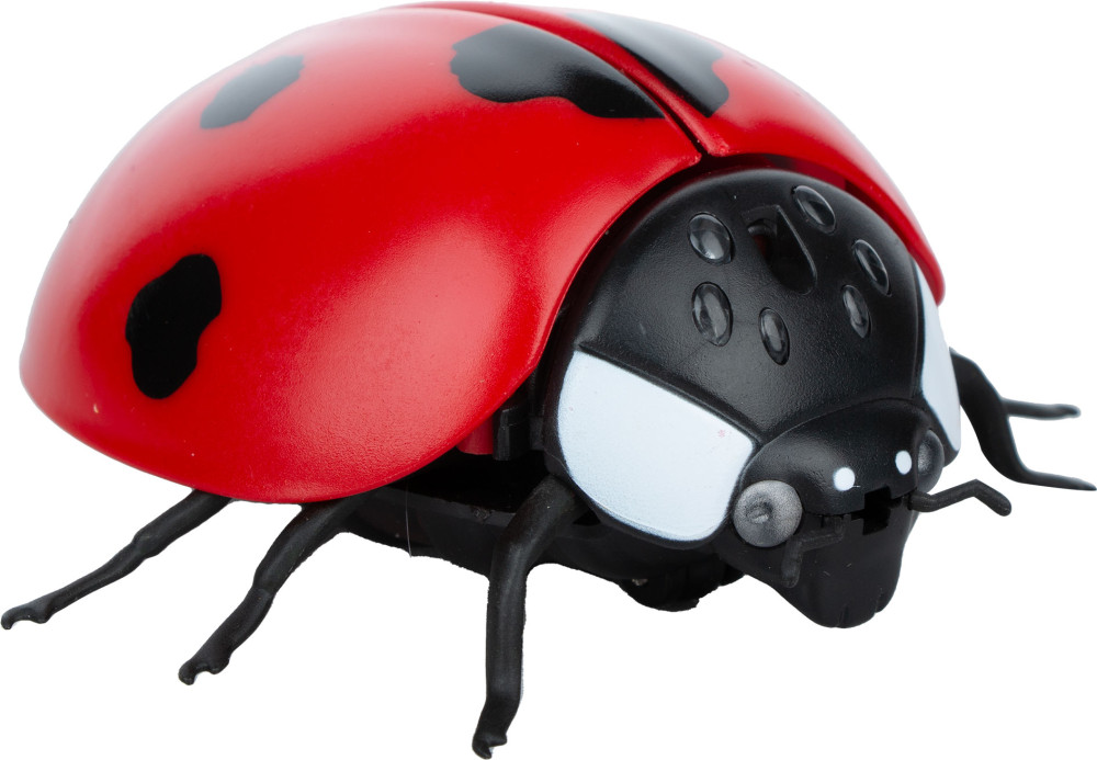 ������� ����� ������� �� ���������� ����������