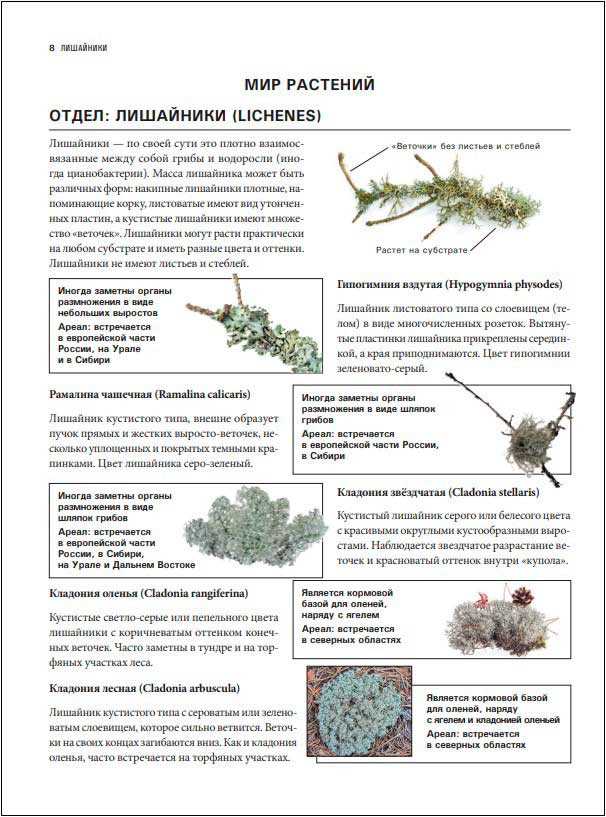 ����� ����� ������� ������: ������ ���������������� ����������