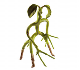  Fantastic Beasts: Bendable Bowtruckle (18 )
