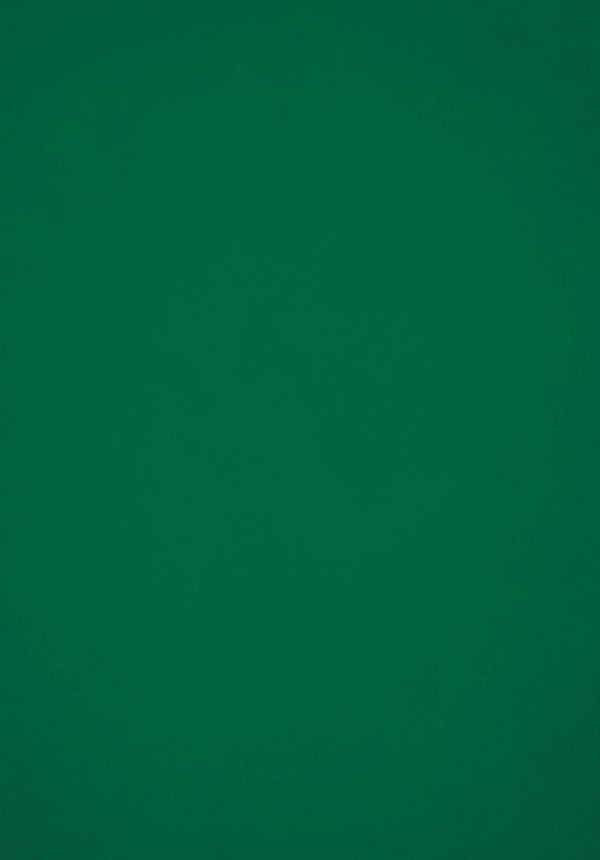 �����: ��������� ������� ���� ������������ ��������� �������� �����