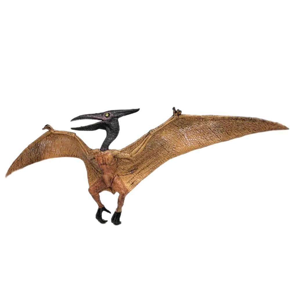 ������� ���������: ���������� (���������� / ����� / ������� / ����������) (M5015)