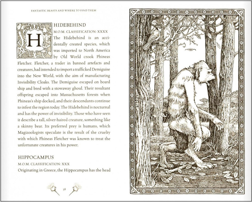 Fantastic Beasts and Where to Find Them � Hogwarts Library Book