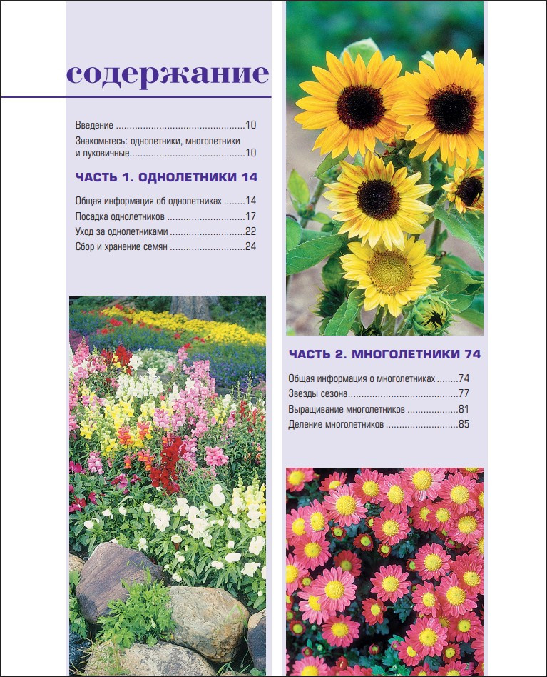 ������ ������� ������: �����������, ������������ � ���������� � ������ �� �������, ����������� � �����