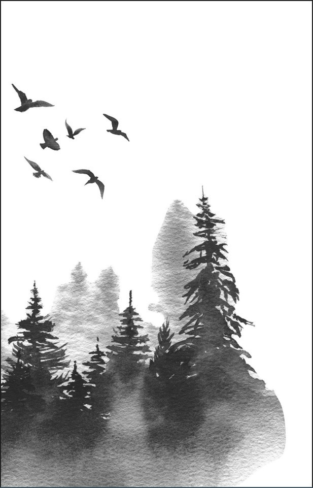 ���������: ����� ��������� �����. ����� 1