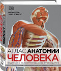 Атлас анатомии человека: Подробное иллюстрированное руководство