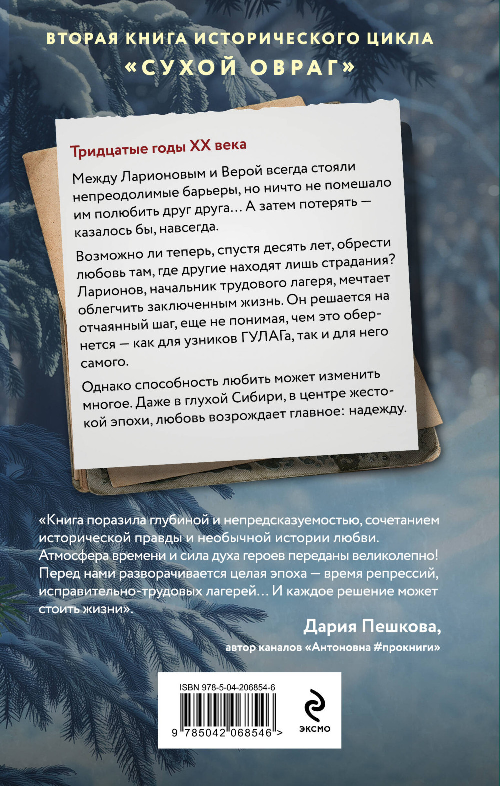 Сухой овраг: Отречение. Книга 2