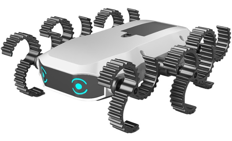 ����������� ����� ����