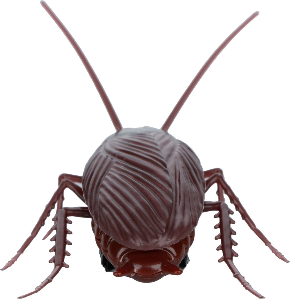 ������� ������� �� ���������� ����������