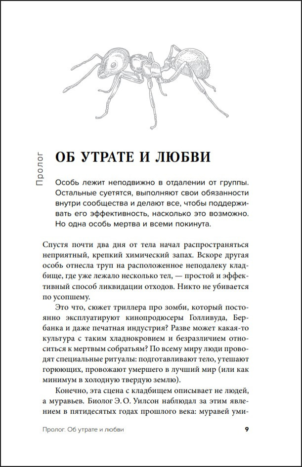 ��� �������� �������: ��� ��������� �����, �����, �������� � ������, ����� �������