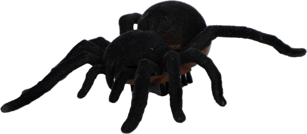 ������� �������� �� ���������� ����������