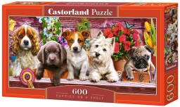 Puzzle-500: ����� �� ����� (Puppies on a Shelf)