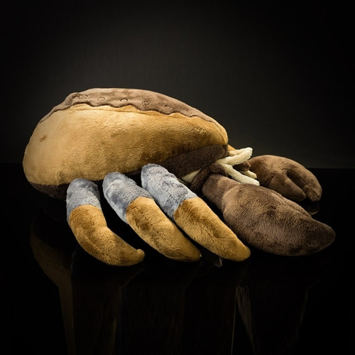 ������ ������� The Elder Scrolls. Mudcrab (43 ��)