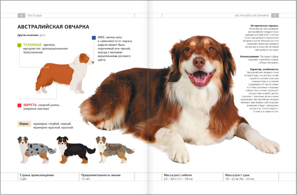 ������������ �����: ���������� �������������� � ������������ ������