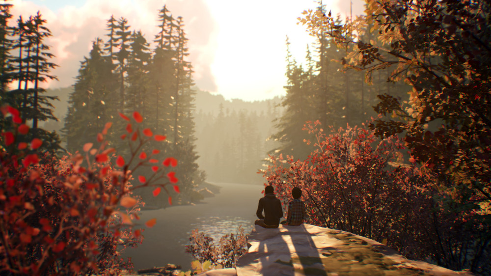 Life is Strange 2. Episode 1 [PC,  ]