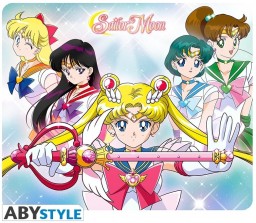    Sailor Moon: Warriors