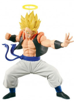  Dragon Ball Z: Gogeta In China Colosseum (13 )