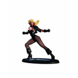  Cover Girls Of The DC Universe Black Canary Statue (18 )