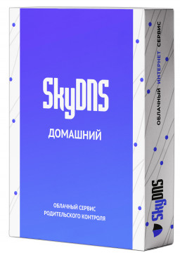 SkyDNS  (  1 ) [ ]