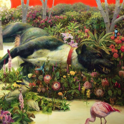Rival Sons  Feral Roots (2 LP)