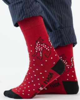 ����� ������� ����� ����� ����������