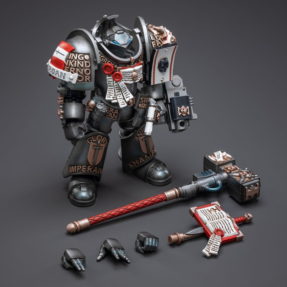  Warhammer 40 000: Grey Knights  Terminator Caddon Vibova 1:18 (13,4 )