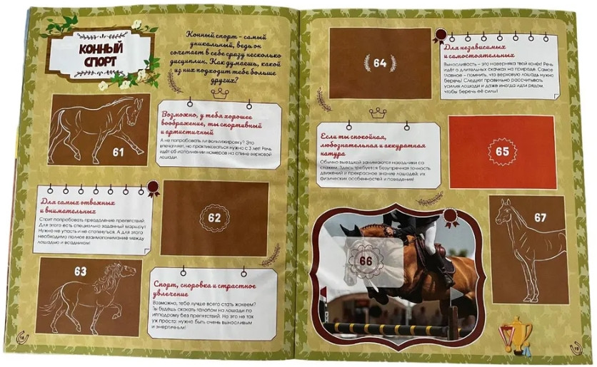    Horses / 