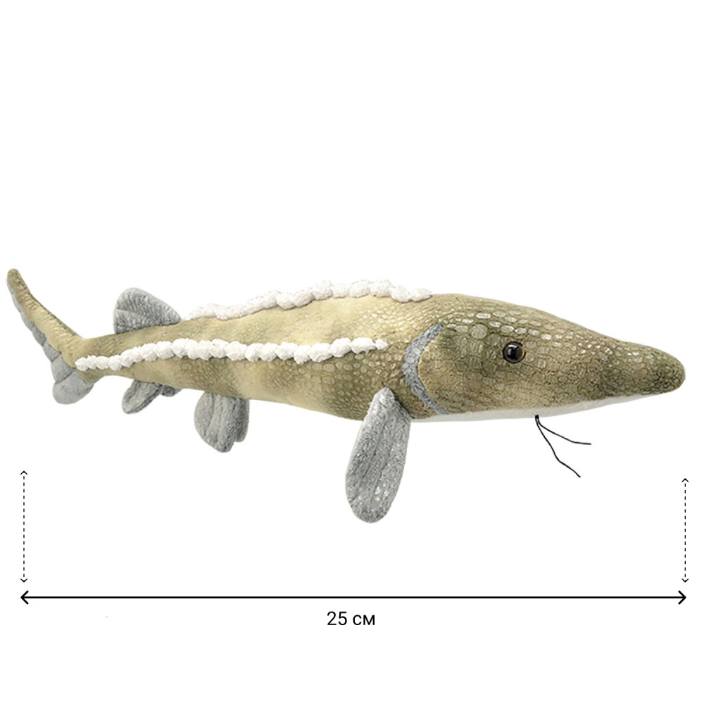 ������ ������� ���� (25 ��)