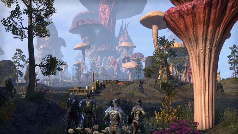 The Elder Scrolls Online: Morrowind. Digital Collector's Edition. Upgrade [PC,  ]