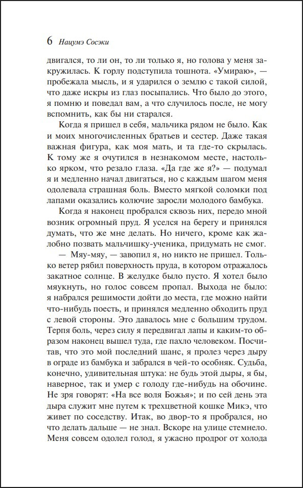 ��� �������� ����� ���