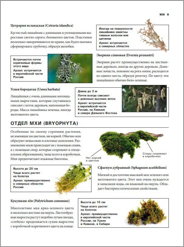 ����� ����� ������� ������: ������ ���������������� ����������