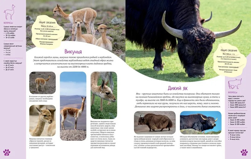 ��������� ��� ��������. ������������