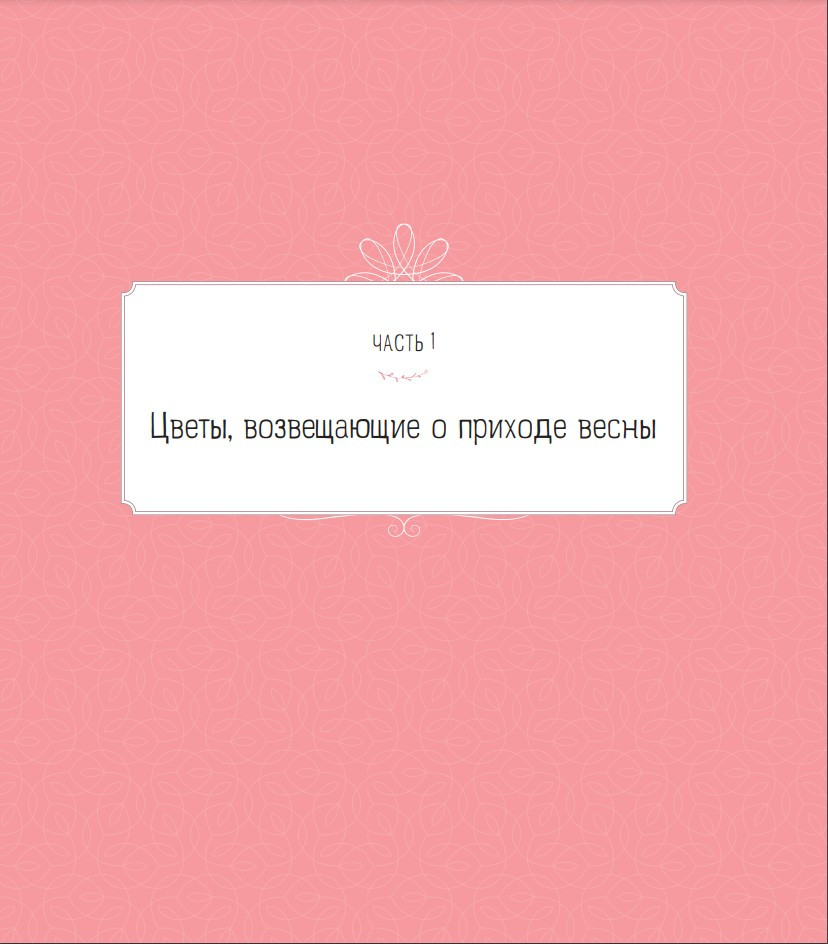    : -,    