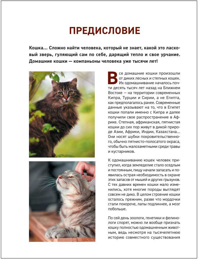 ����� ��������� ������ � �����: ������� ���������������� ������������